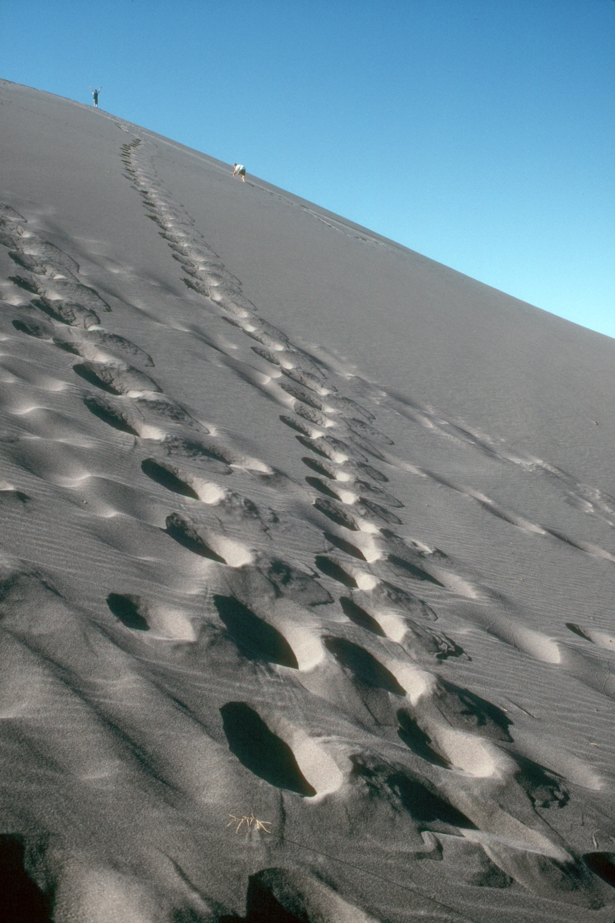 Steep Bruneau Dune Ascent