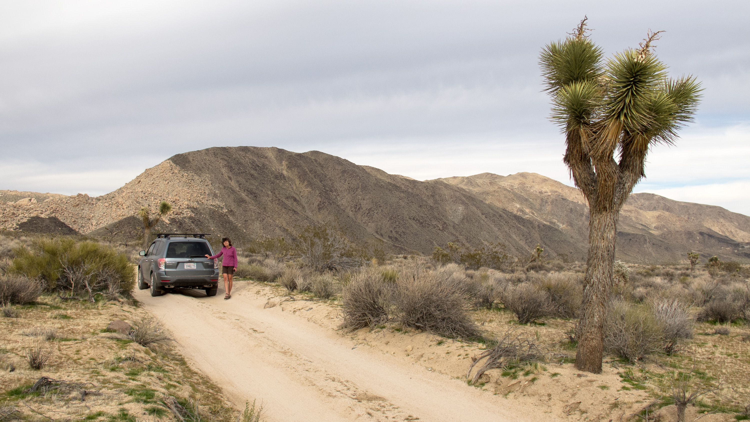 Geology Tour Road