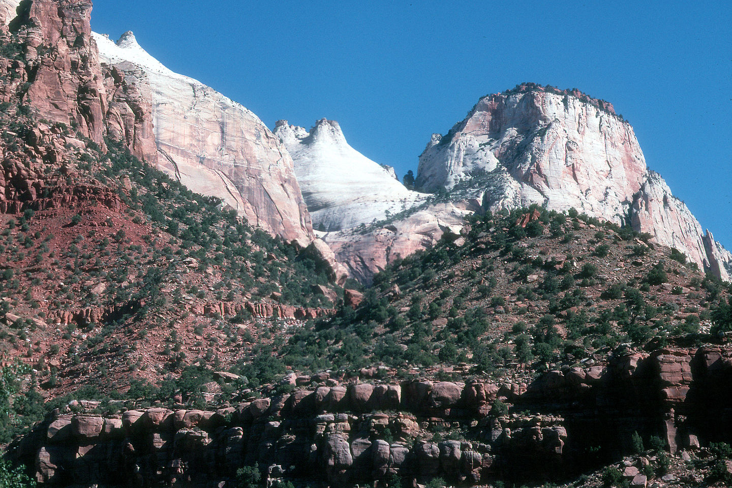 View from Zion Canyon Drive