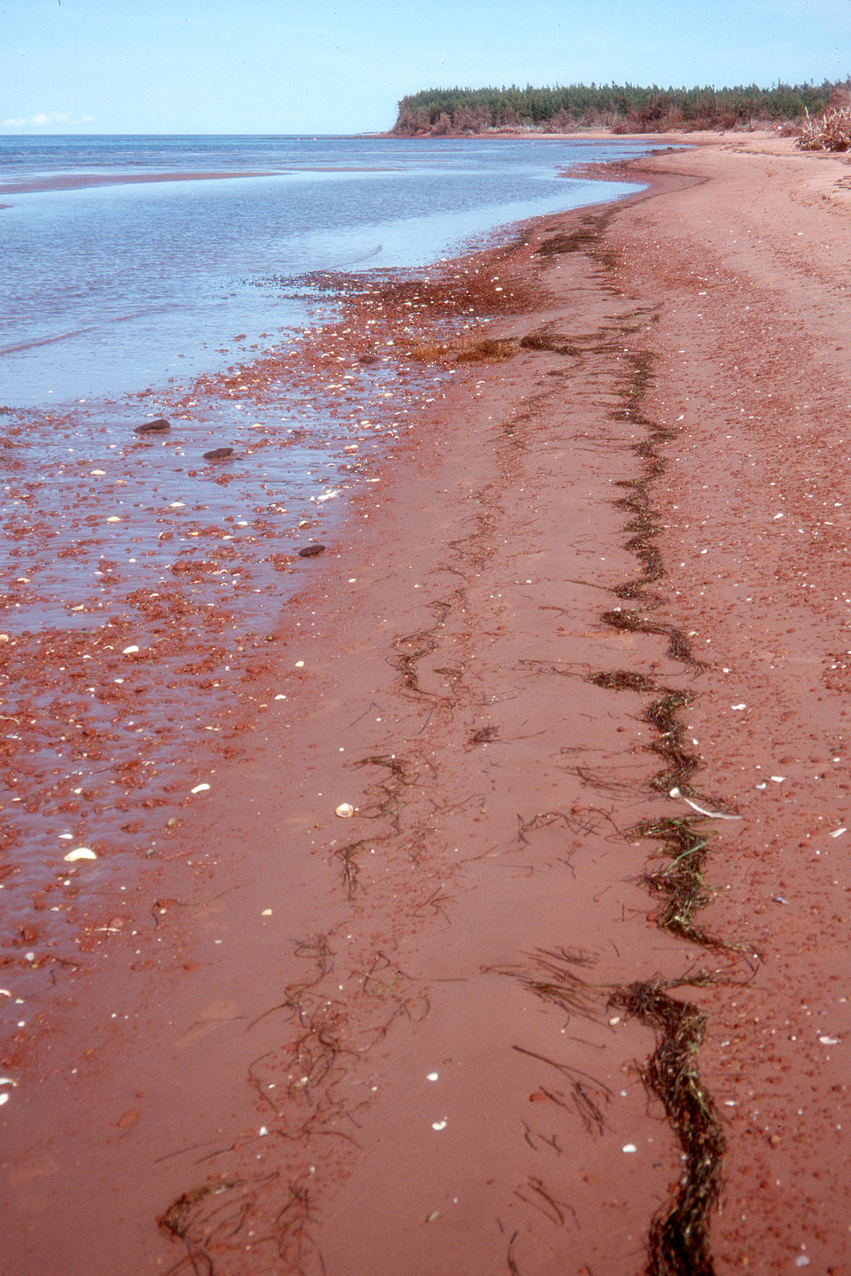 Red sand beach at Robinsons Island, PEI