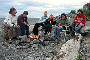 Gang roasting marshmellows around the beach fire