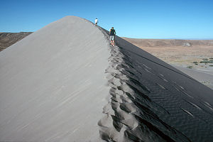 Boy's climbing the dune ridge