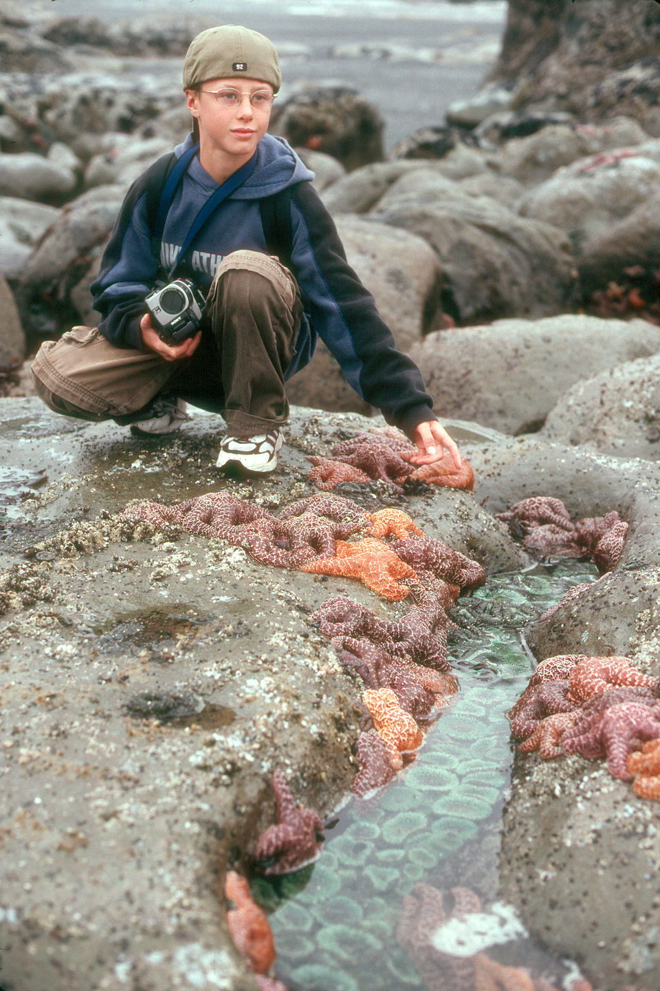 Tommy with starfish by tidal pools