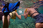 Mom and Dad snorkeling - TJG