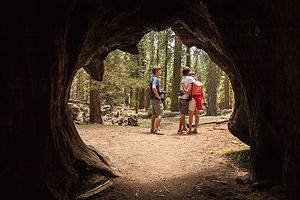 Family from Inside of a Burnt Out Sequoia