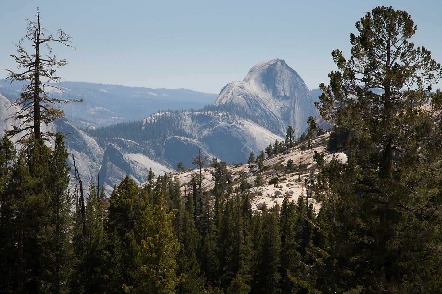 Back of Half Dome from Tioga Pass Road