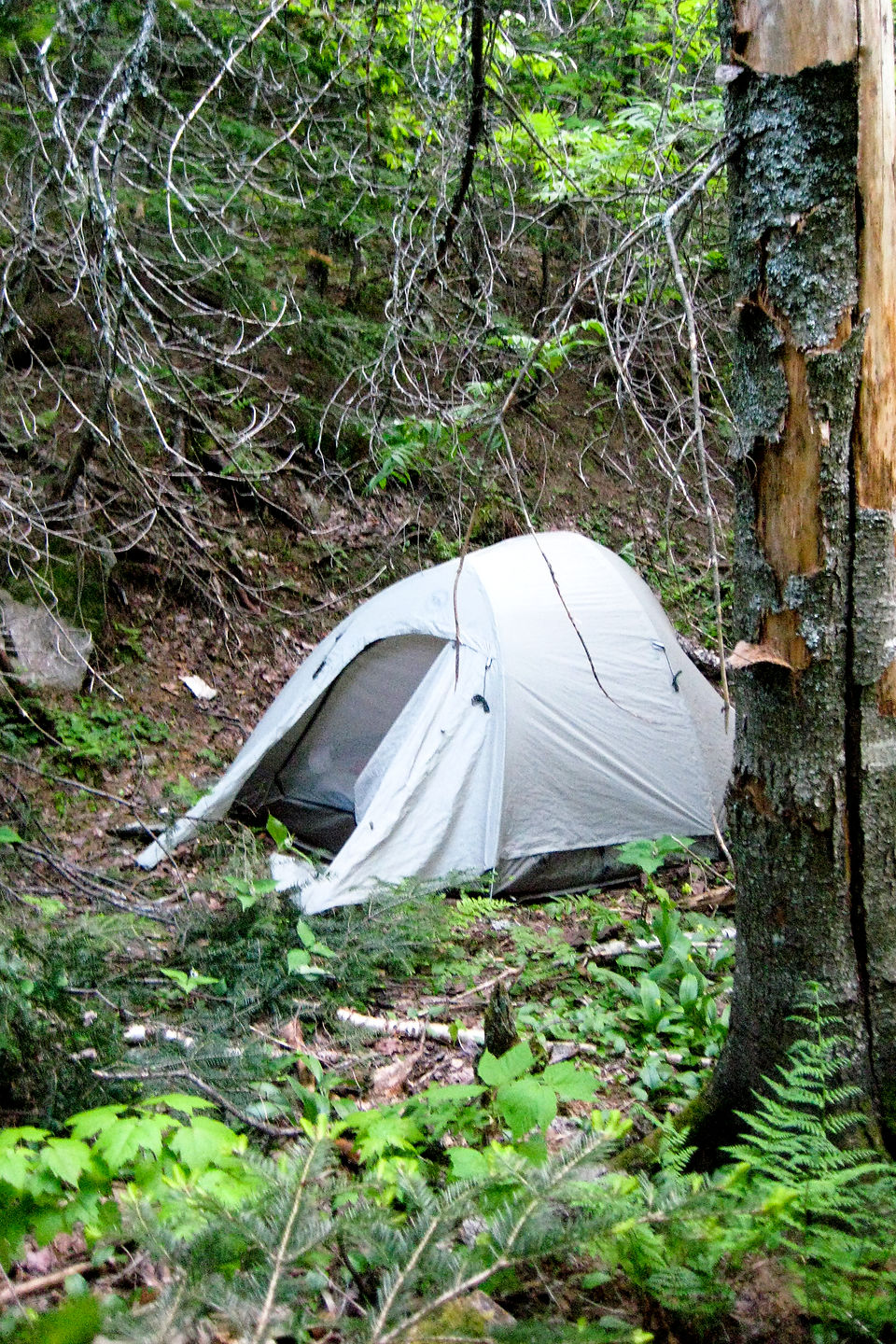 Backcountry Tent Site