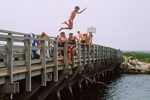 Tommy jumping off Memorial Bridge