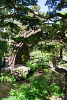 Japanese Tea Garden Arched Drum Bridge