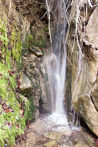 Maidenhair Falls in Hellhole Canyon