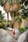 Hellhole Canyon palm oasis