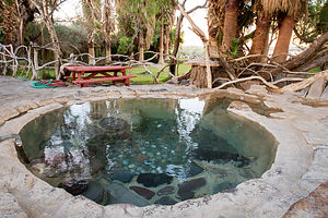 Lizard's Pool