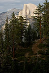 Half Dome and pine trees from 4-mile trail