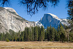 Goodbye Yosemite Valley