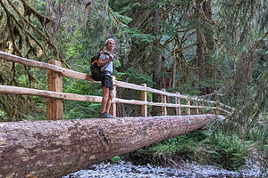 Hike to Sol Duc Falls