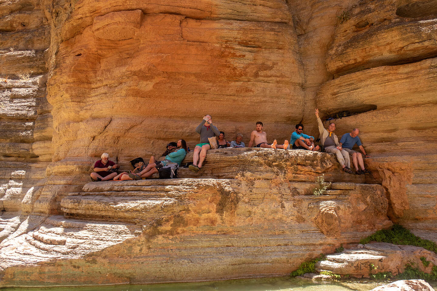 Hanging out on the ledges