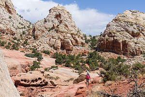 Along the Navajo Knobs Trail