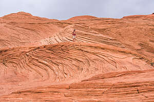 The Petrified Dunes
