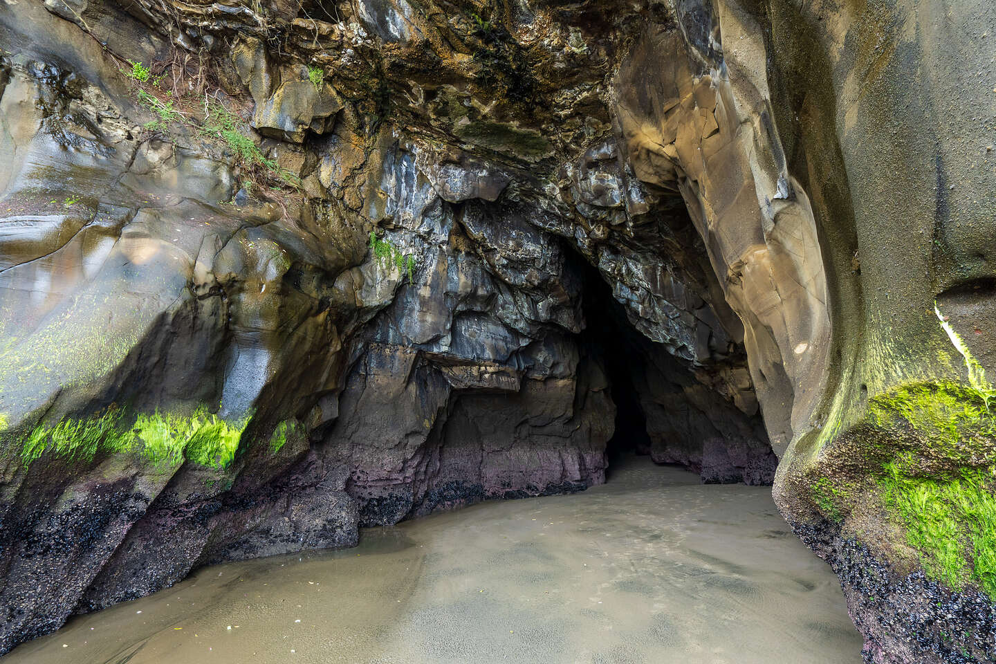Muriwai Grotto