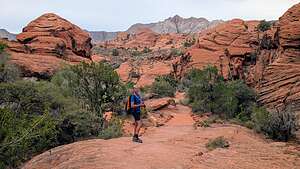 Setting off on the Pinyon Trail