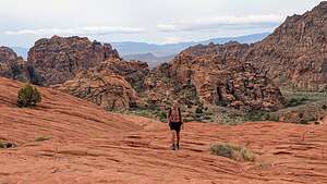 Hiking up the Petrified Dunes