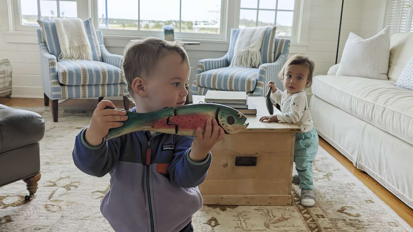 Cocktail hour chaos Cocktail hour chaos