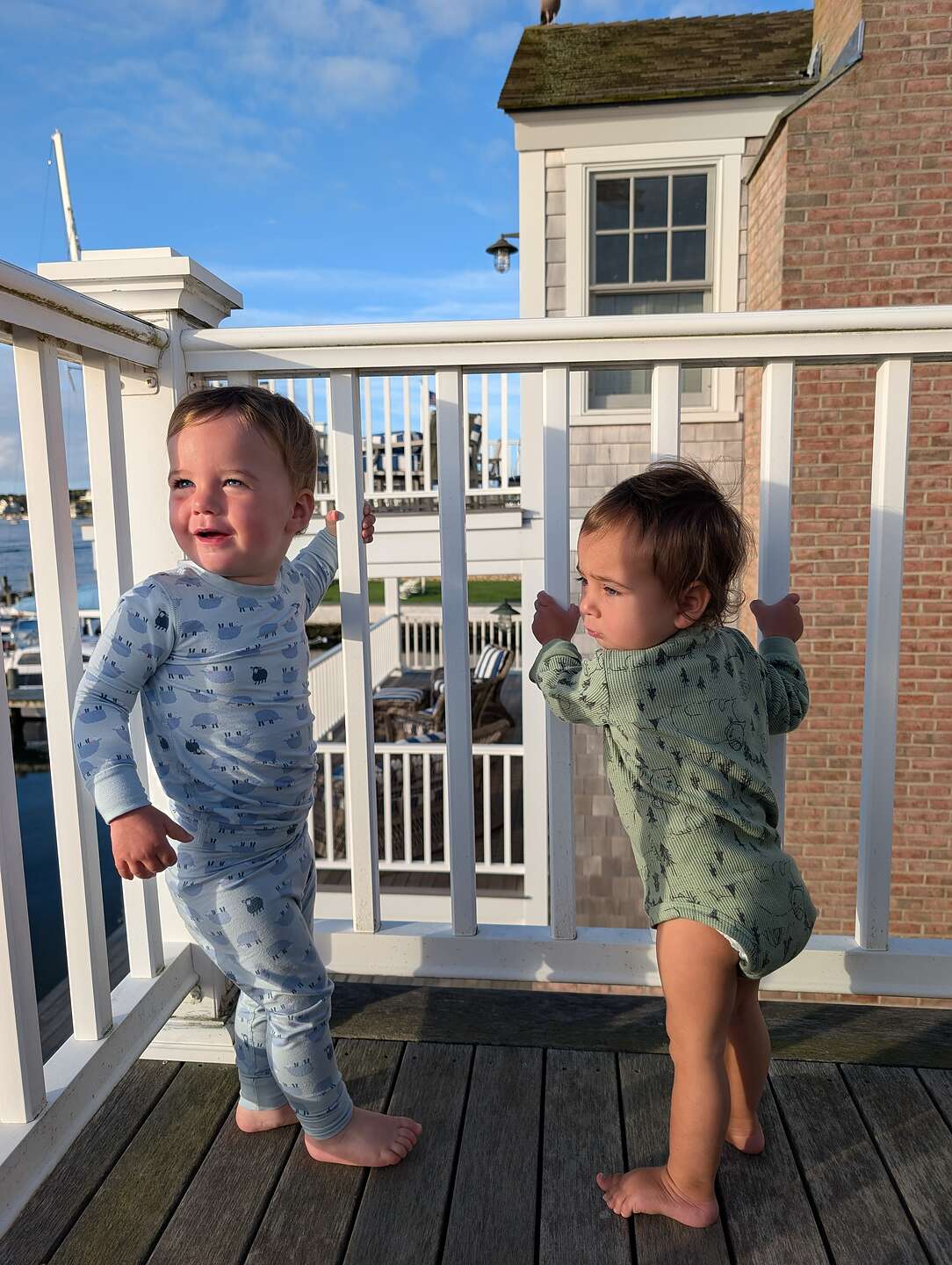 "Out-doo" to visit their bird friend "Out-doo" to visit their bird friend