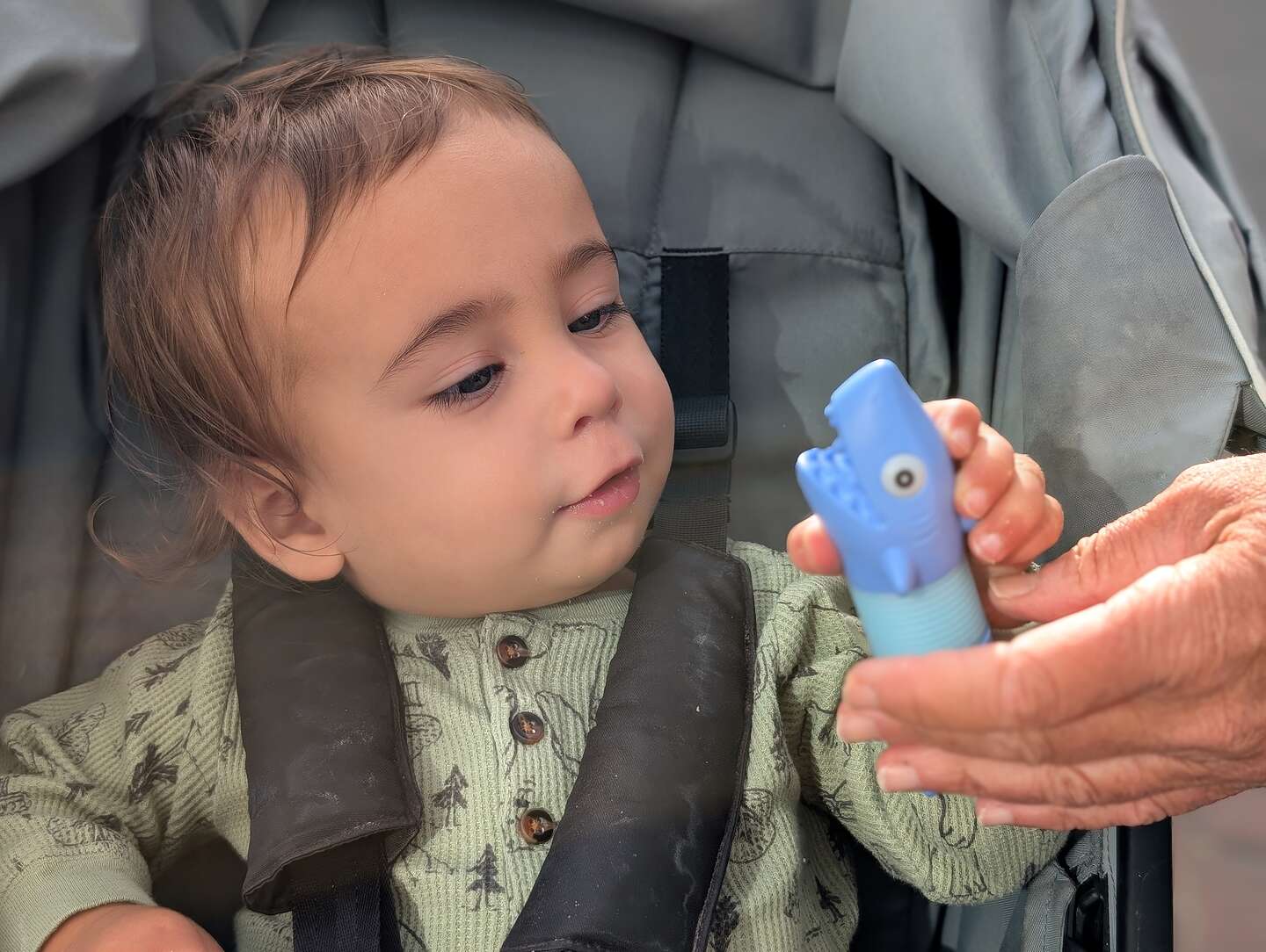 Walker's plastic shark Walker's plastic shark