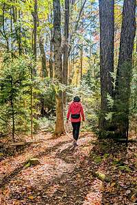 Setting off on the Mt. Olga Trail