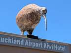 Land of the Kiwi Land of the Kiwi