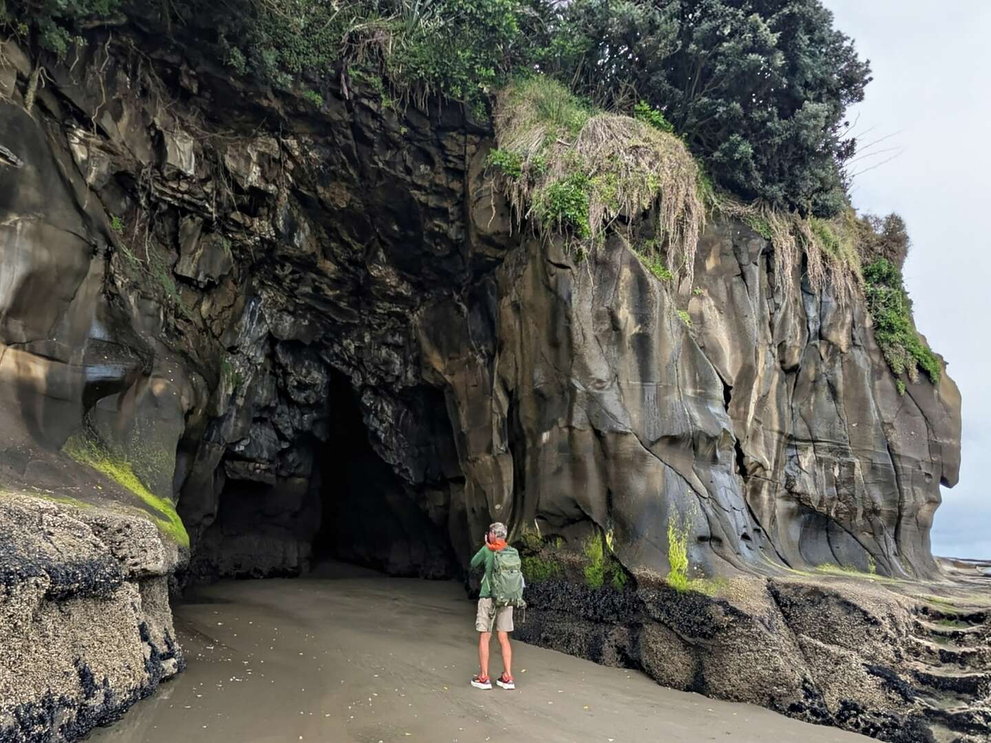 Muriwai Grotto