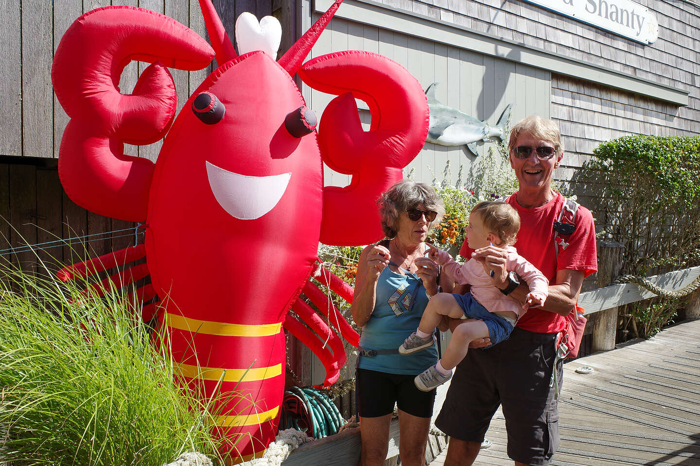 The Sea Shanty Lobster The Sea Shanty Lobster