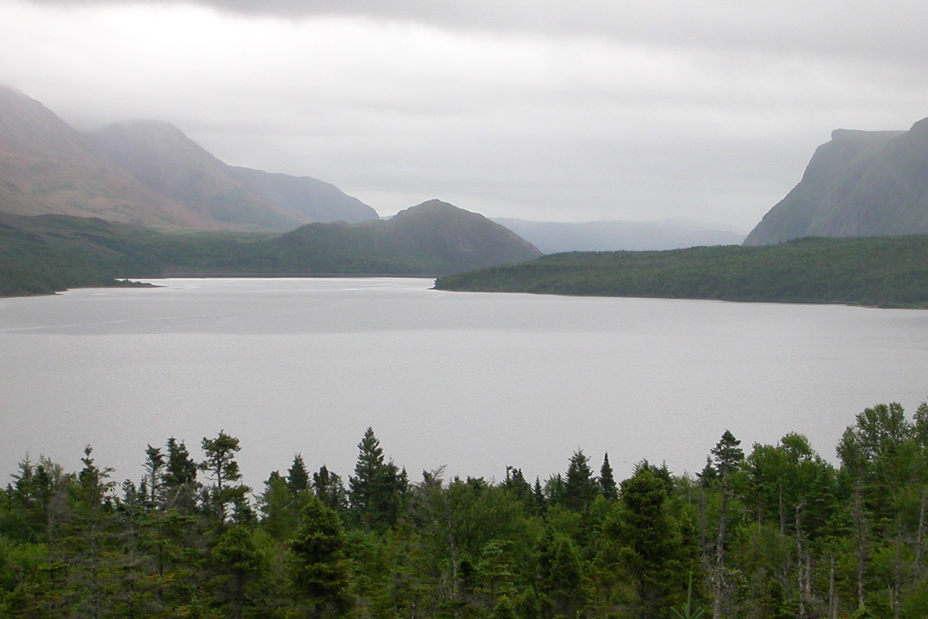 Trout River Pond