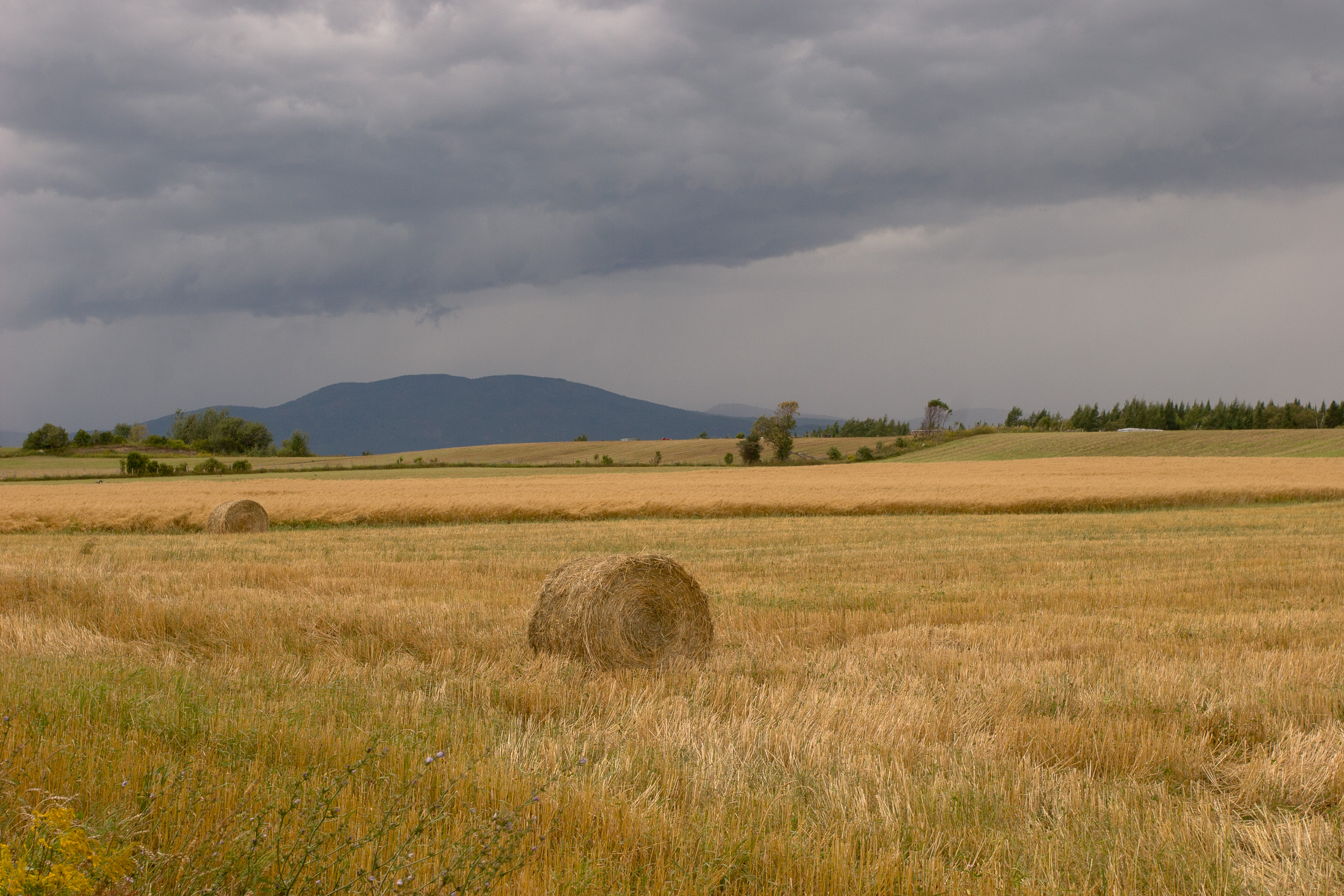 Approaching Thunderstorm
