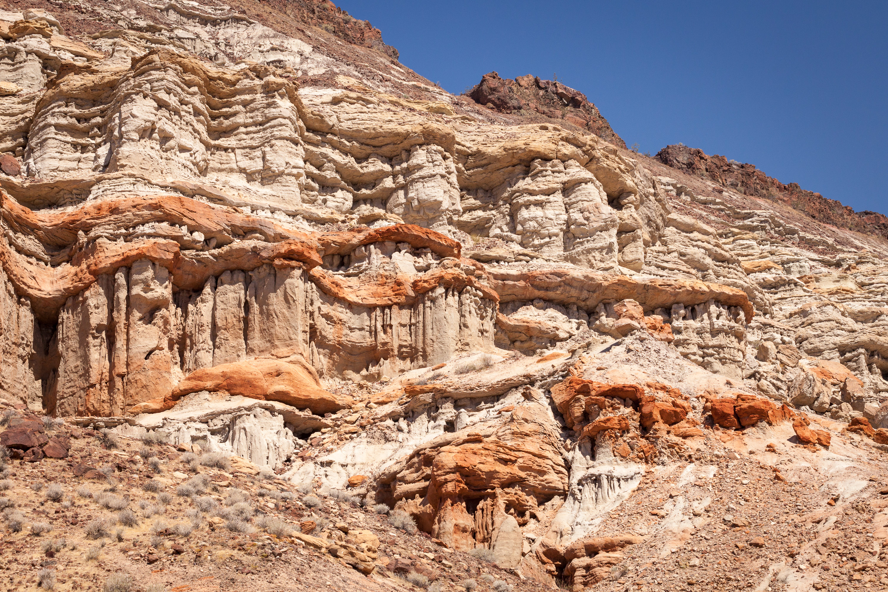 Along the Hagan Canyon Trail