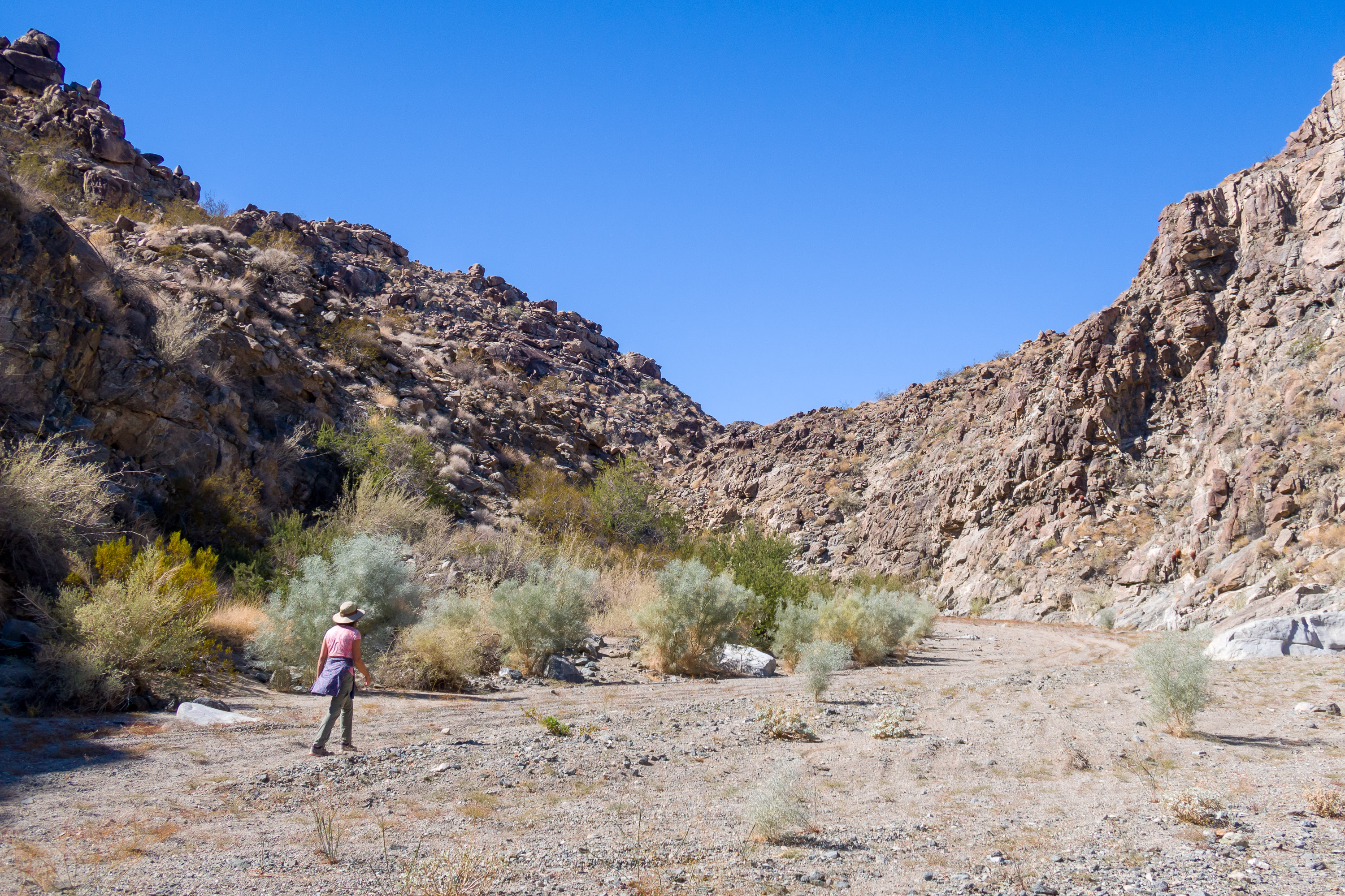 Hike to Picture Canyon