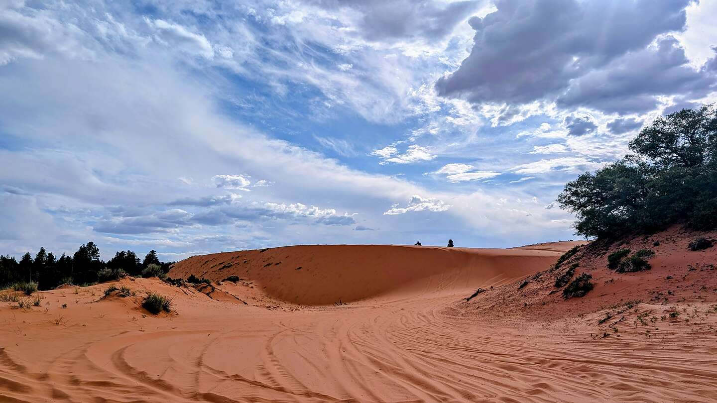Coral Pink Sand Dunes