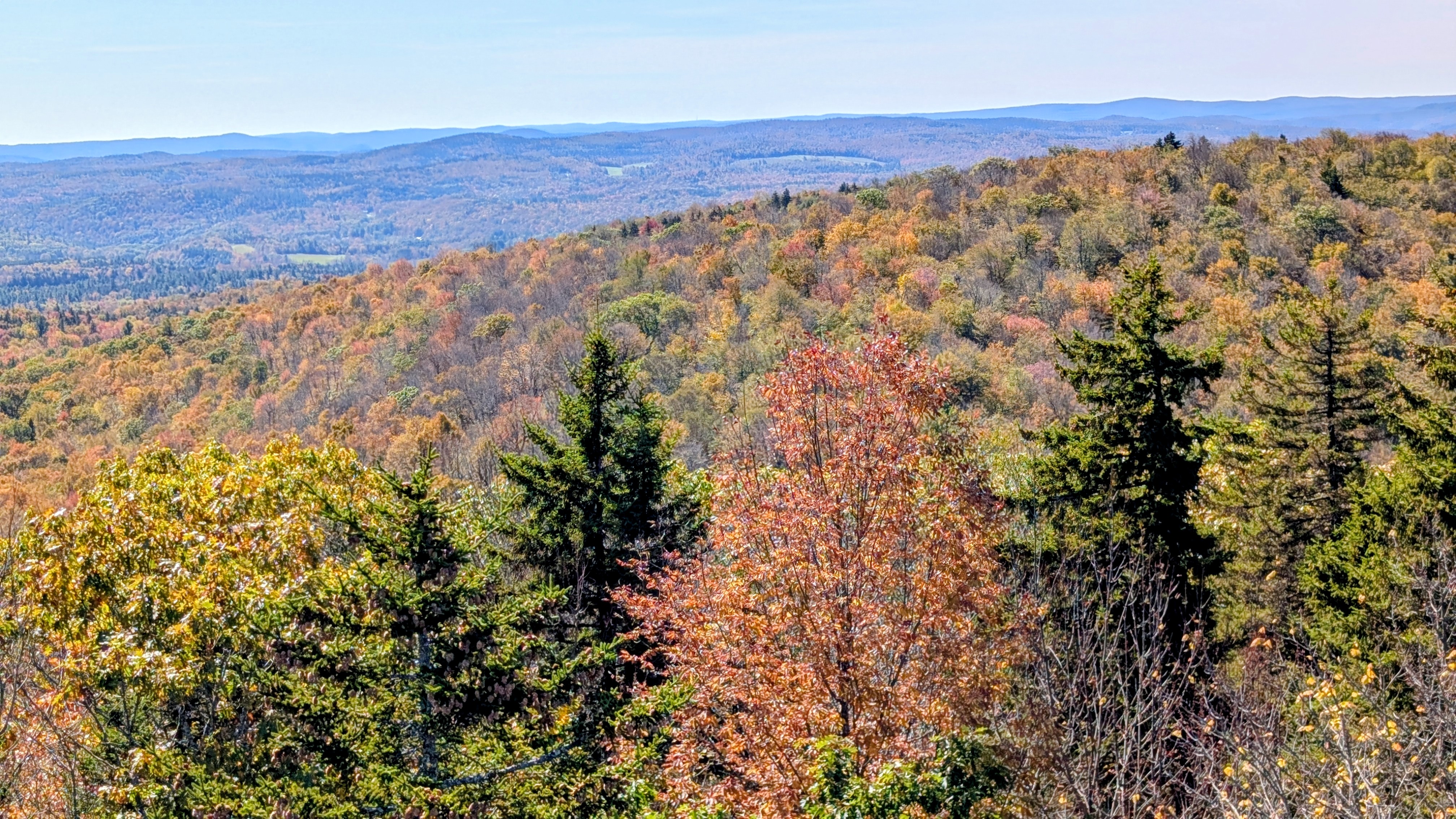 View from atop the fire tower