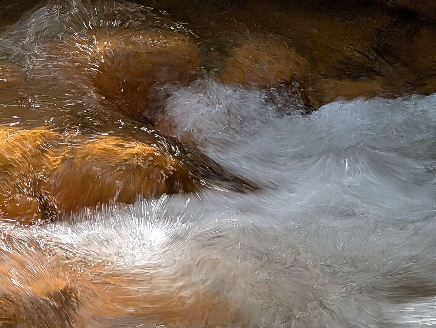 Golden Rapids