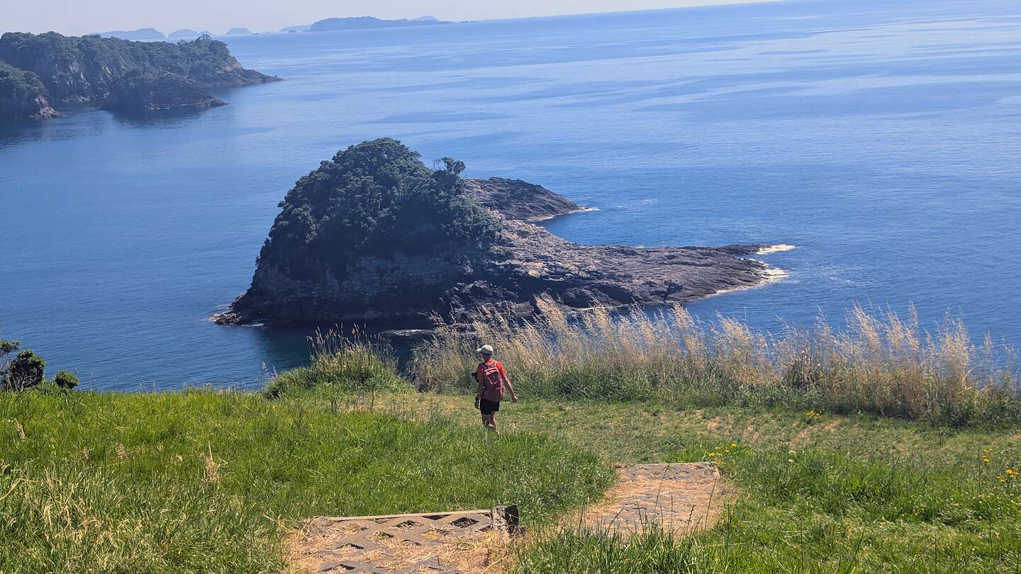 Te Pare Reserve