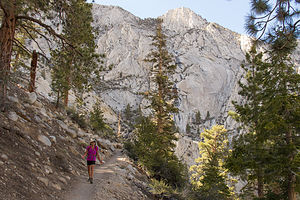 Lolo Hiking from Lone Pine Lake