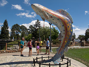Santa Rosa Trout Sculpture