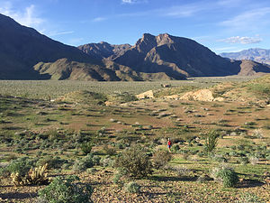 View of Coyote Canyon from Alcoholic Pass