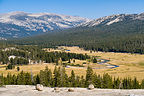 View of Tuolumne Meadows from atop Pothole Dome