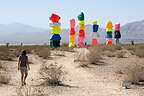 Seven Magic Mountains - 2017