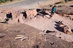 Poison Spider Mesa Dinosaur Tracks