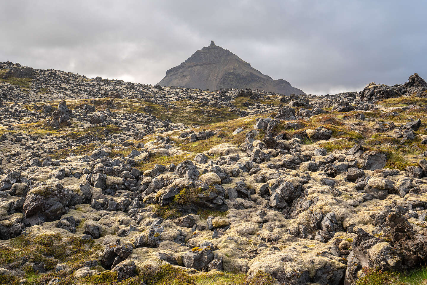 Hellnahraun lava field with Mt. Stapafell in background