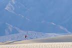 Hiking on Mesquite Dunes