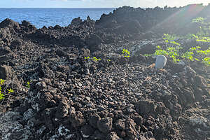 Ancient Hawaiian burial site