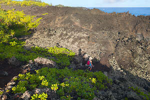 Along the Kipapa O Kihapiilani Trail